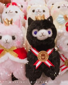 black alpacasso